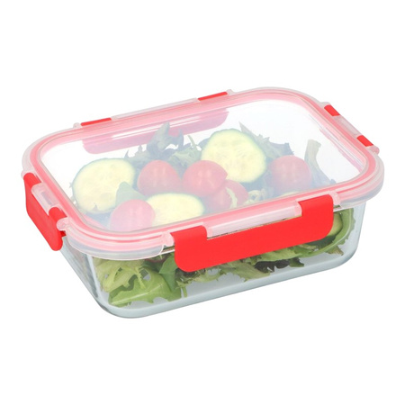 Alpina - Contenitore per alimenti in vetro con coperchio lunchbox 21x16x6 cm 1 L