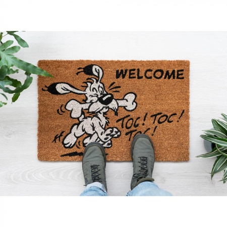 WYCIERACZKA POD DRZWI WEWNĘTRZNA, Kokosowa, z Napisem Welcome, Asterix 40x60