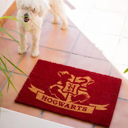 Harry Potter - Hogwarts Fußmatte (40 x 60 cm)