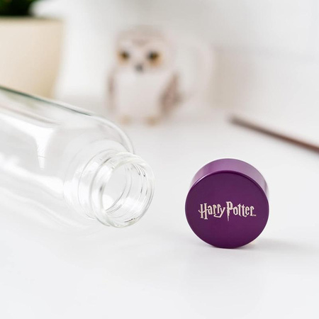 Harry Potter - 500ml Glaswasserflasche (Hogwarts)