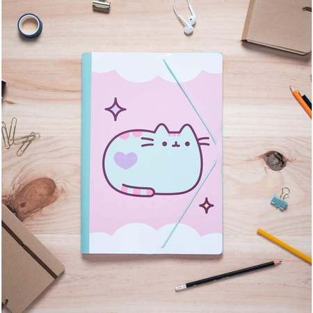 Pusheen - Složka na dokumenty (24 x 34 cm)