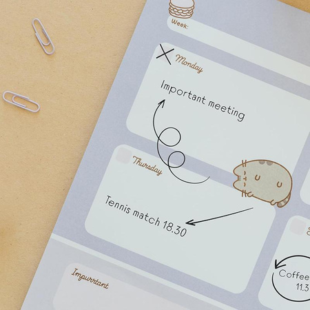 Pusheen - Týdenní diář z kolekce Moments, 54 stran A3