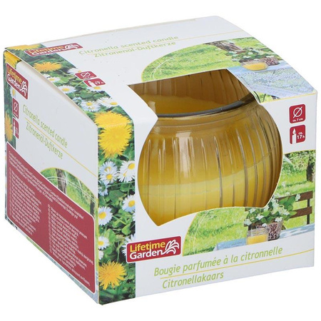 Lifetime - Bougie anti-coma à la citronnelle en verre (jaune)