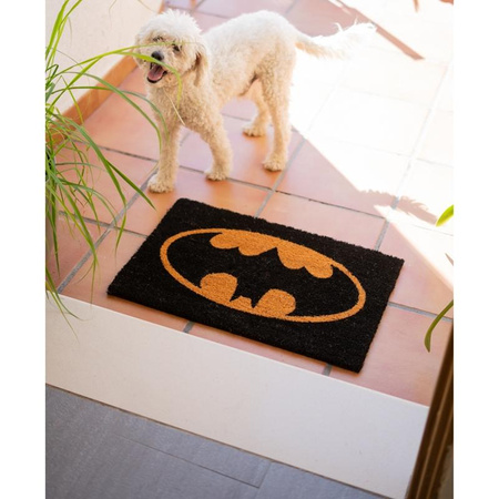 Essuie-glace intérieur, noix de coco, Batman, pour chaussures 40 x 60 cm