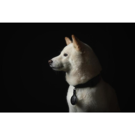 Moshi AirTag Schlüsselanhänger - Premium-Anhänger für Apple AirTag (Jet Black)