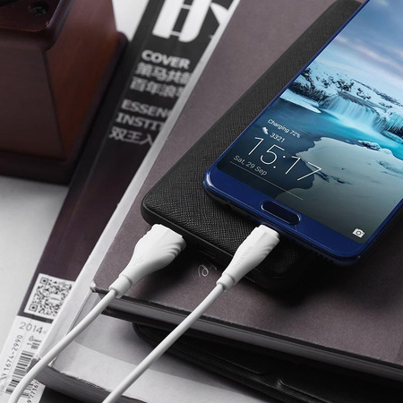 Borofone - Câble USB-A vers USB-C, 2 m (blanc)
