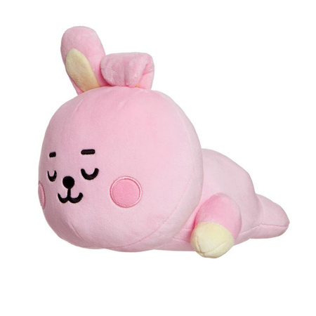 BT21 - Plyšový maskot / polštář 28 cm COOKY Baby
