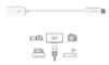 Adaptateur Kanex USB-C vers USB femelle (21 cm)