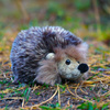 MUSCLE MOUSE HOG, Realistischer Igel, weich, genau wie das Original, ECO 17cm