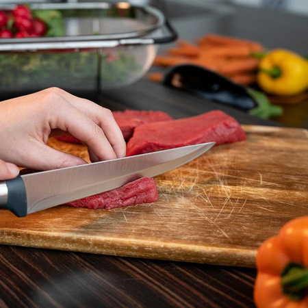 STAINLESS STEEL KNIGES, Professional Set, Alpina, 5 pcs.
