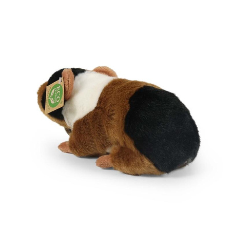 MASKOTKA PLUSZOWA DUŻA ŚWINKA MORSKA REALISTYCZNA 22cm RAPPA ECO DZIECKA