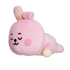 BT21 - Plush pillow / mascot 28 cm COOKY Baby