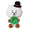 BT21 - Plüsch-Maskottchen 15 cm RJ Winter