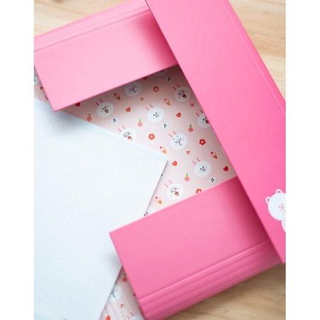 BT21 - CONY A4 bunny document storage folder (24 x 34 cm)