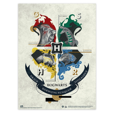 Harry Potter – Set mit 2 Wandpostern (38 x 52 cm)
