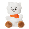 BT21 - Plyšový maskot 13 cm RJ Palm Pals