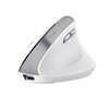 Trust Bayo II - Ergonomic Wireless Mouse (White)