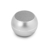 Guess Mini Bluetooth-Lautsprecher 3W 4H - Bluetooth 5.0 Lautsprecher (Silber)