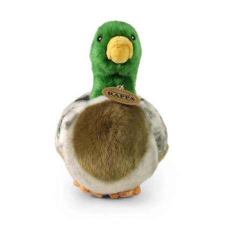 Rappa - Plyšový realistický maskot kachna divoká 20 cm Ekologicky šetrný