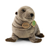 PLUS SEAL MASCOT, Realistic Seal, Sea Lion like the Real One, ECO