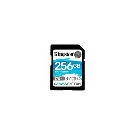 Kingston Canvas Go Plus SDXC - Speicherkarte 256 GB Klasse 10 UHS-I U3 90/170 MB/s