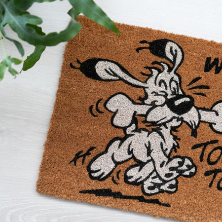 WYCIERACZKA POD DRZWI WEWNĘTRZNA, Kokosowa, z Napisem Welcome, Asterix 40x60