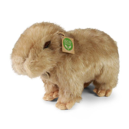 KAPIBARA PLUS MASCOT 30 CM, Realistic Plush, Soft, ECO