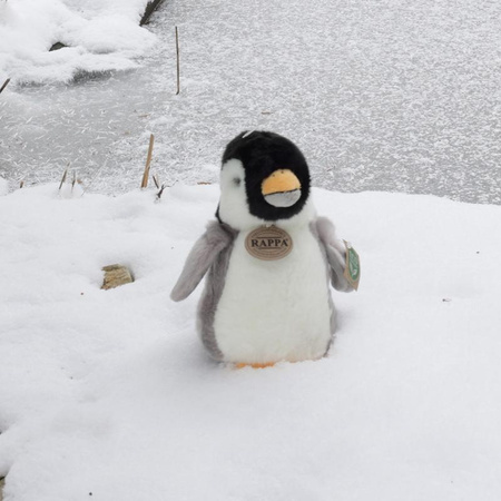 Plush Realistic Standing Penguin Mascot 20 cm Eco-Friendly Rappa