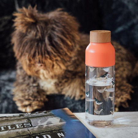 BUTELKA NA WODĘ DO SZKOŁY BPA FREE, do Pracy, Wytrzymała Ecozen, 720 ml