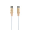 Guess Ebossed Logo - USB-C auf USB-C Schnellladekabel 1,5m (gold)