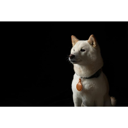 Moshi AirTag Schlüsselanhänger - Premium-Anhänger für Apple AirTag (Karamellbraun)