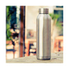 Quokka Solid - Butelka termiczna ze stali nierdzewnej 630 ml (Steel)