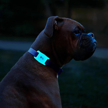 Case-Mate Dog Collar Mount - Case with collar mount for Apple AirTag (glow-in-the-dark)