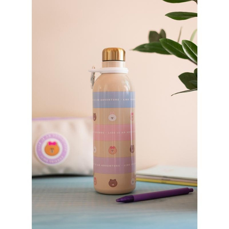Line Friends - 500 ml stainless steel thermal bottle