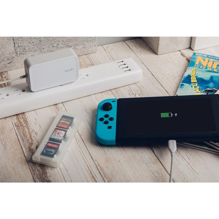 Moshi ProGeo - USB-C 65W Power Delivery Laptop-Ladegerät (EU)