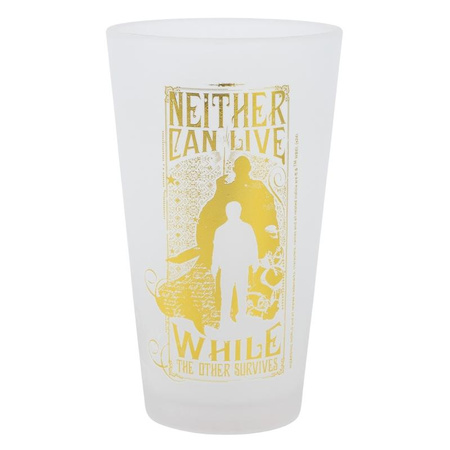 Harry Potter - Set di due bicchieri in scatola decorativa della collezione Golden Magic da 490 ml