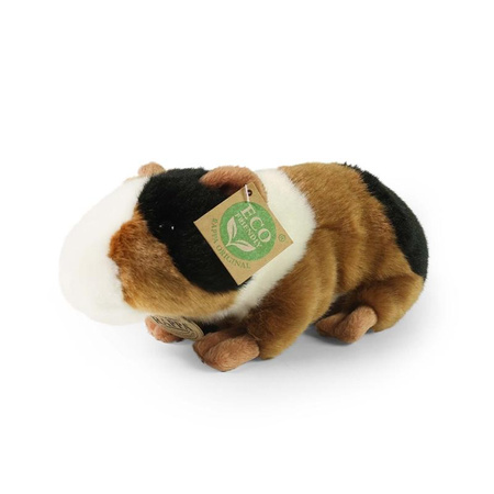 MASKOTKA PLUSZOWA DUŻA ŚWINKA MORSKA REALISTYCZNA 22cm RAPPA ECO DZIECKA