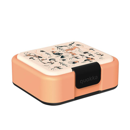 ŚNIADANIÓWKA Z PRZEGRÓDKAMI DO SZKOŁY, Lunchbox dla Dzieci, BPA Free