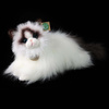 Rappa - Plüss realisztikus kabala Ragdoll macska fekvő 35 cm Környezetbarát