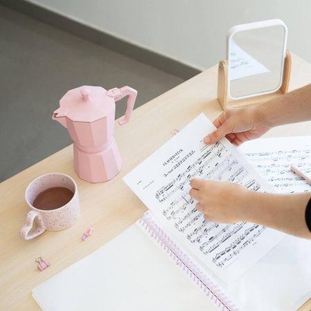 Pusheen - A4 binder with elastic band + 30 clear pockets