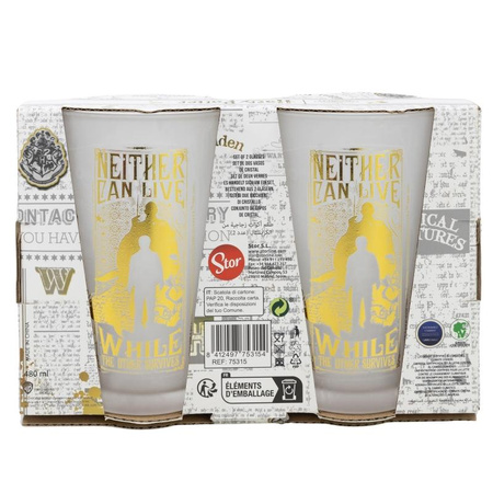Harry Potter - Set of two glasses in a decorative box from the Golden Magic 490 ml collection