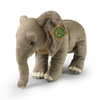 PLUS PILLOW MASCOT Elephant, Realistic Elephant, Soft, Like the Real One, ECO 28