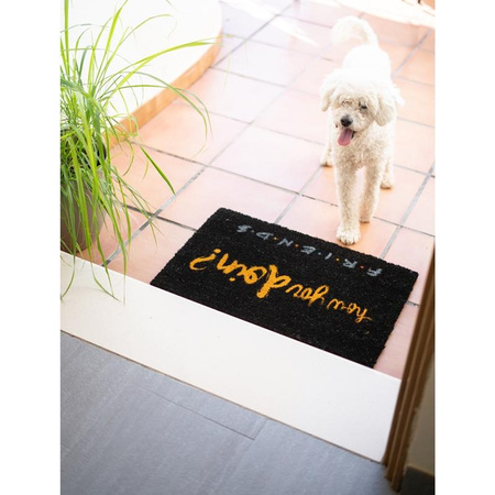 Přátelé - Rohožka