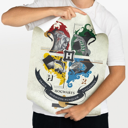 Harry Potter – Set mit 2 Wandpostern (38 x 52 cm)