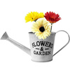 Lifetime Garden - Pot cover in the shape of a watering can