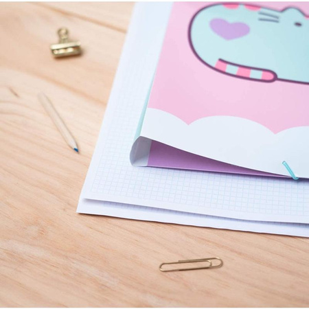 Pusheen - Složka na dokumenty (24 x 34 cm)