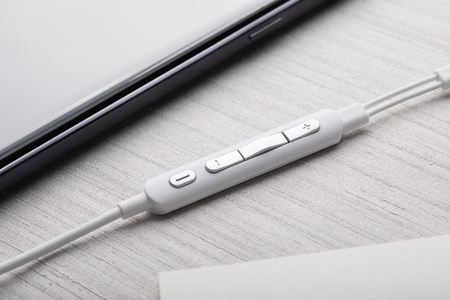 Moshi Mythro C - Aluminiowe słuchawki dokanałowe USB-C z mikrofonem (Jet Silver)