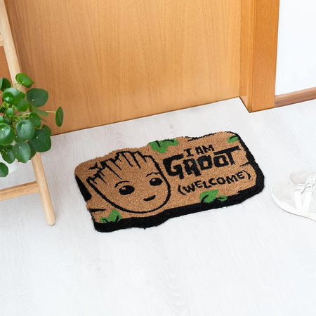 WYCIERACZKA POD DRZWI WEWNĘTRZNA, Kokosowa, I Am Groot, do Butów, 40x60