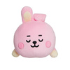 BT21 - Plüss párna / kabalafigura 28 cm COOKY Baby