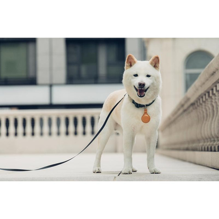 Moshi AirTag Key Ring - Brelok premium do Apple AirTag (Caramel Brown)